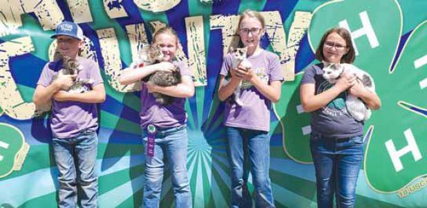 County 4-Hers Bring Projects