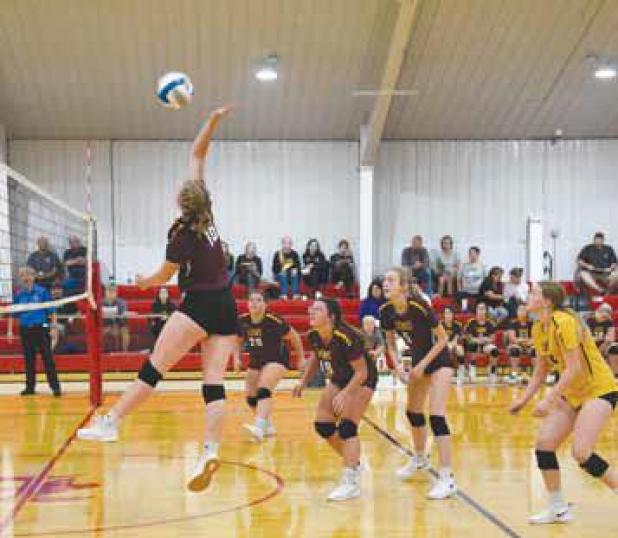 Lady Lions Volleyball Off To Strong Start On Season