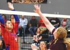 Lady Lions Take Third In Tourney For Third Time