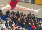 Gymnasts Sixth At State ‘A’ Meet